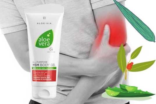 Aloe Vera MSM Body Gel, 200 ml