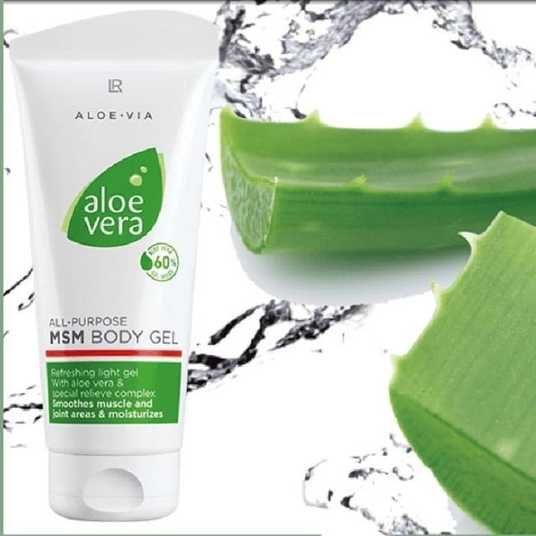 Aloe Vera MSM Body Gel, 200 ml - Aloe Vera - Aloe.in.ua
