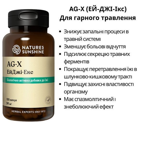 Эй Джи-Экс НСП NSP1198 фото