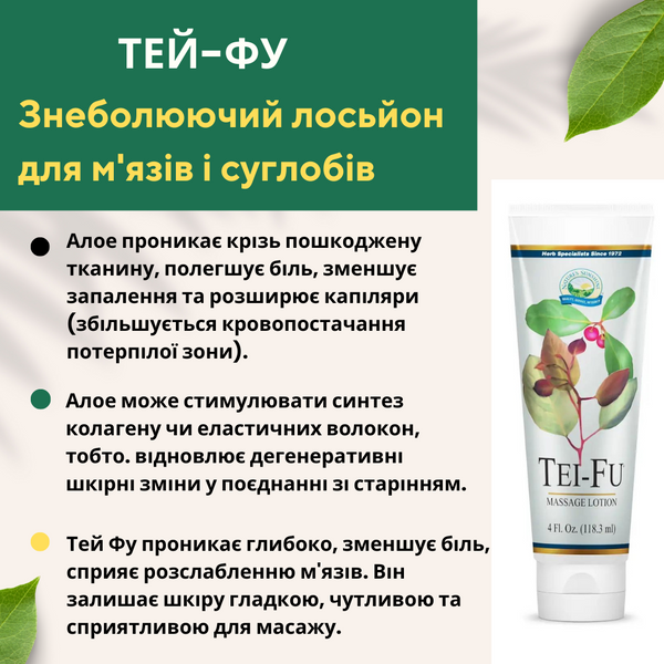 Tay-Fu Anesthetic lotion for muscles and joints NSP NSP3538 photo