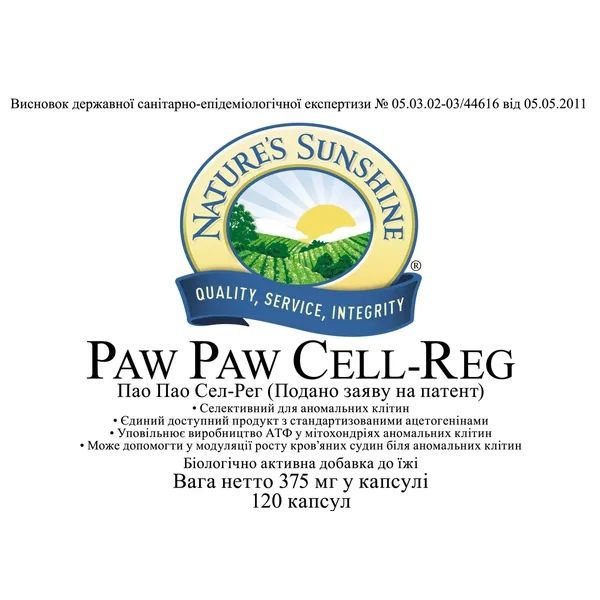 Paw Paw Cell - Reg NSP NSP515 zdjęcie