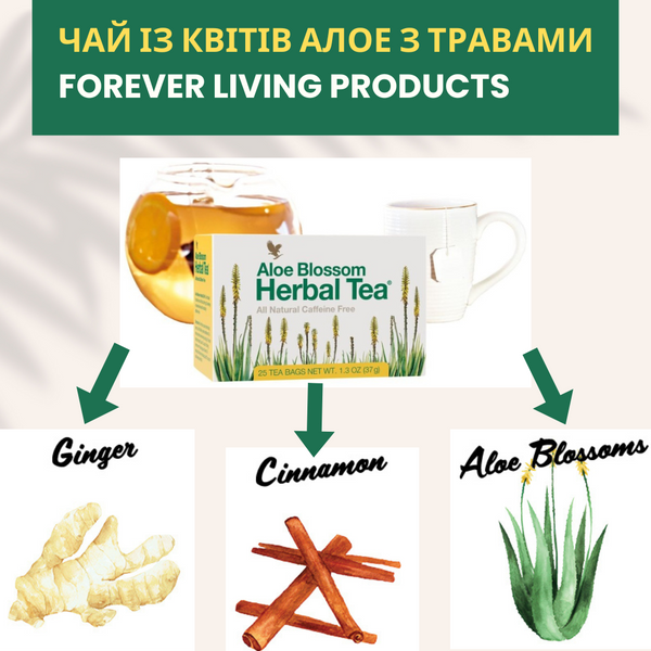 Aloe flower tea with herbs Forever Living Products FLP200 photo