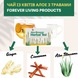 Aloe flower tea with herbs Forever Living Products FLP200 photo 2