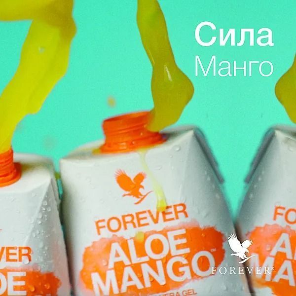 Żel aloesowy o smaku mango Forever, 1 l FLP00736 zdjęcie