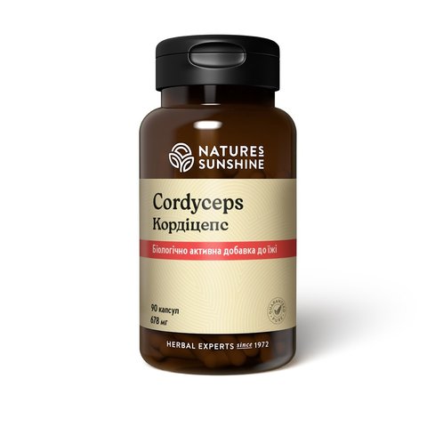 Cordyceps NSP NSP1240 photo