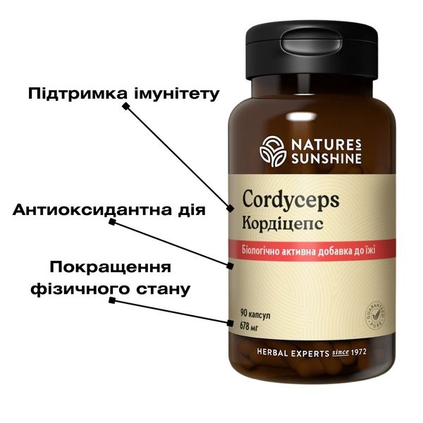 Cordyceps NSP NSP1240 zdjęcie