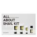 Cosrx - Набор с муцином улитки для ухода за кожей лица - All About Snail Kit 4-Step cosrx_13922 фото 1