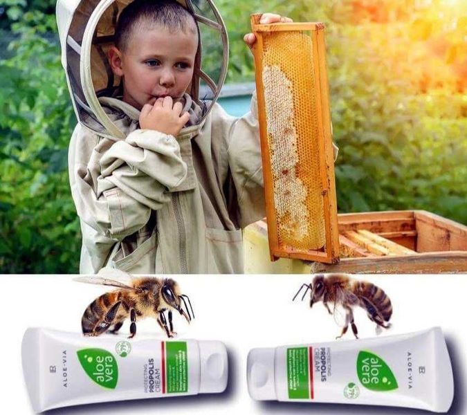 Krem ochronny z propolisem do twarzy i ciała Aloe Vera LR LR20602 zdjęcie