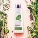 Aloe Vera Очищающее молочко для лица LR20670 фото 4