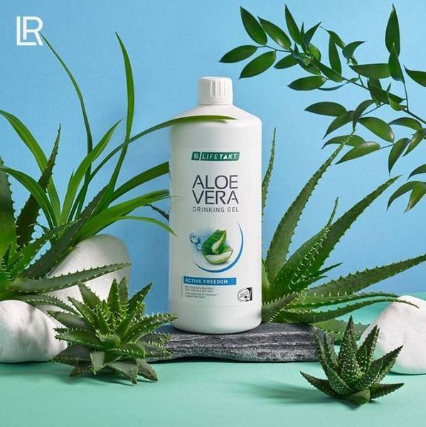 Żel do picia Aloe Vera LR Sierra Intensive, zestaw 3 szt LR80823 zdjęcie