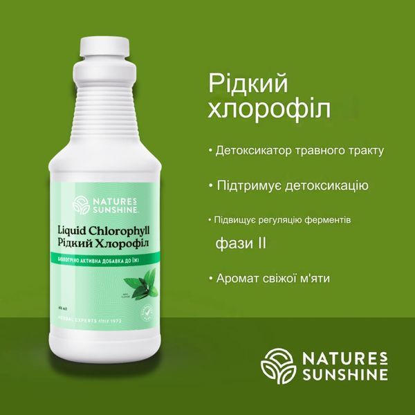 Хлорофіл рідкий NSP, 476 мл NSP1580 фото