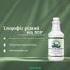 Chlorophyll Liquid NSP NSP1580 zdjęcie 3