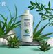 Żel do picia Aloe Vera LR Sierra Intensive, zestaw 3 szt LR80823 zdjęcie 4