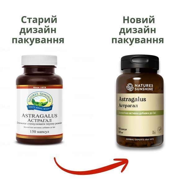 Астрагал НСП NSP22751 фото