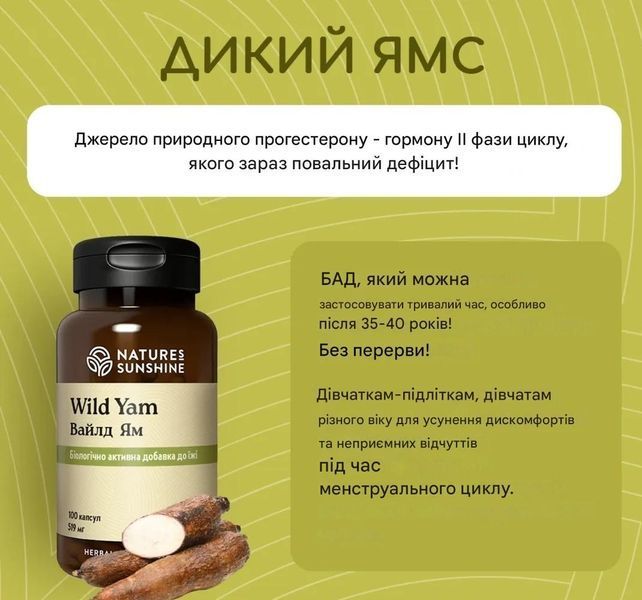 Wild Yam NSP NSP745 photo