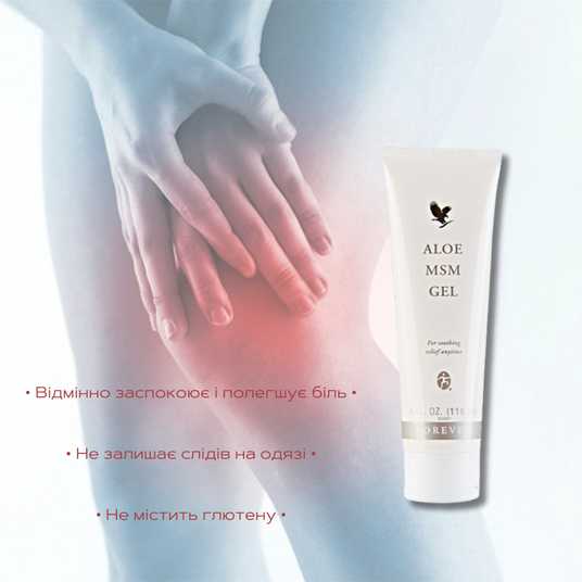 Aloe MSM Gel