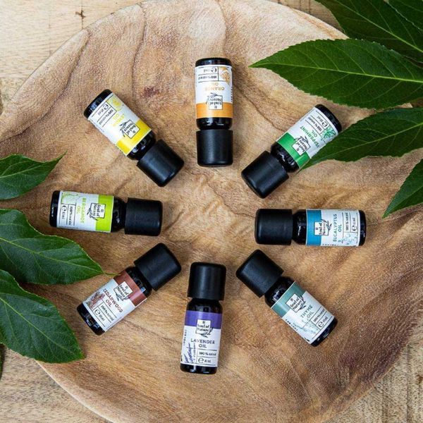 Zestaw olejk&oacute;w aromatycznych LR Soul of Nature LR26090 zdjęcie