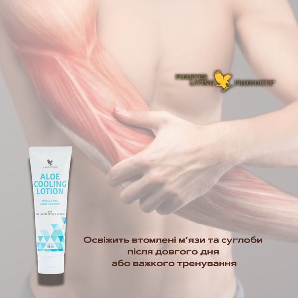 Алоє Охолоджуючий Лосьйон (Aloe Cooling Lotion), Forever Living, 118 мл FLP564 фото