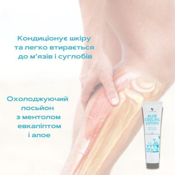 Алоє Охолоджуючий Лосьйон (Aloe Cooling Lotion), Forever Living, 118 мл FLP564 фото