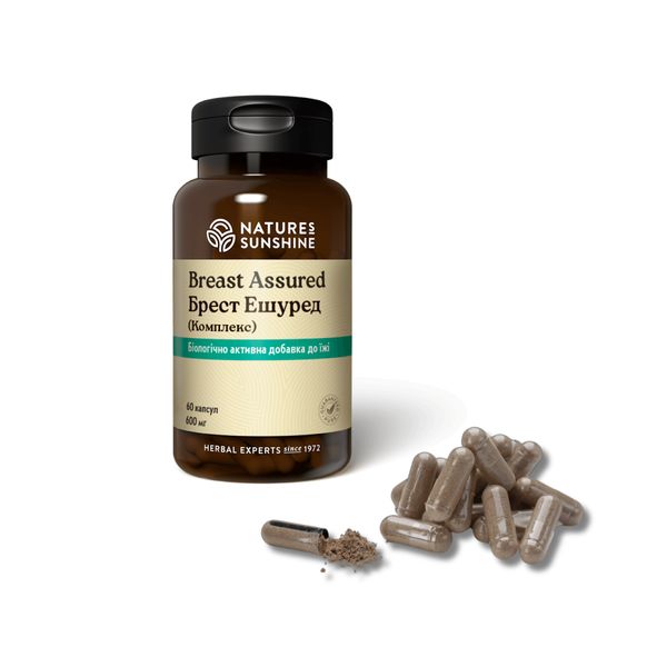 Brest Eshured Complex NSP NSP1122 zdjęcie