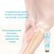Алоє Охолоджуючий Лосьйон (Aloe Cooling Lotion), Forever Living, 118 мл FLP564 фото 7