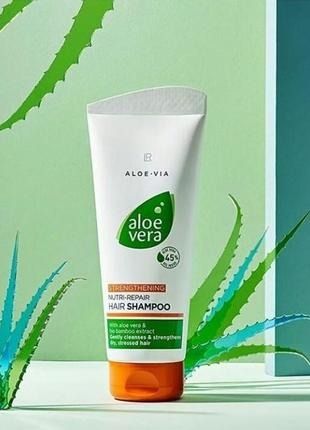 Revitalizing shampoo for hair Aloe Vera LR LR20648 photo