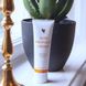 Forever Living Products Aloe Propolis Creme FLP051 photo 4