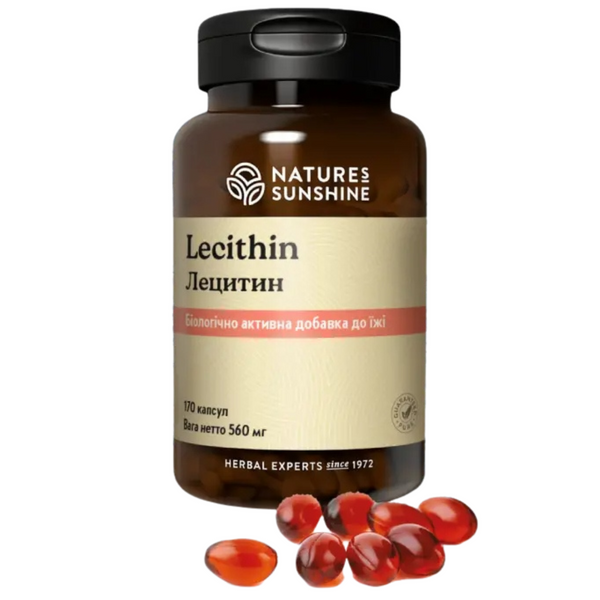 Lecithin NSP NSP1661 photo