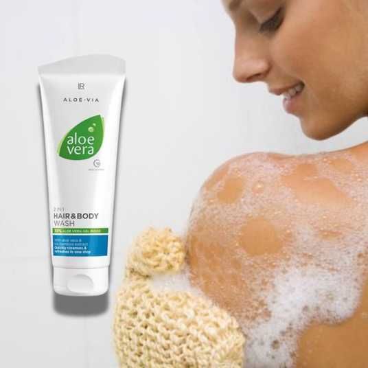 wie teuer ist eine aloe vera pflanze Aloe vera Duo | Sukkulenten main image 1
