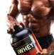 100% Whey Gold Standard - Optimum Nutrition сывороточный протеин со вкусом печенья и сливок ON33618  фото 6