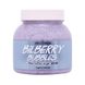 HOLLYSKIN Bilberry Bubbles sugar scrub with shea butter and perlite  H0269 photo 1