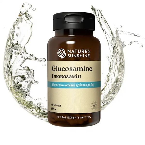 Glucosamine NSP NSP903 photo